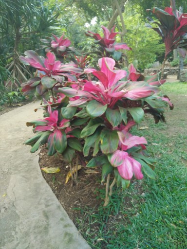 GALETTE CHAUSSON ITA