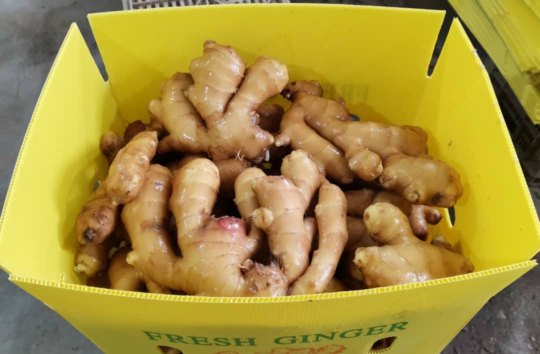 Gingembre 35€ les 10kg